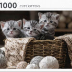 Cute Kittens (1000) - Rebo  Legpuzzel
