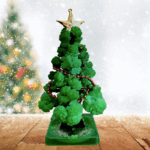 GrowTree™ - Kweek je eigen kerstboom! - Kerstboom kweekset (1+1 GRATIS) 1+1 GRATIS | Educatief Speelgoed