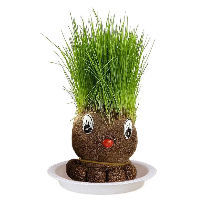 WgVFSc0bd877df52047a896ac5f577476451a5 Figure Plants™ - Leer planten verzorgen -  Thuis Decoratie Planten Groen Gras Mol | Educatief Speelgoed - Afbeelding 1