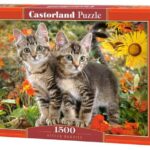 Kitten Buddies (1500) - Castorland  Legpuzzel