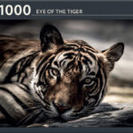 Eye of the Tiger (1000) - Rebo  Legpuzzel
