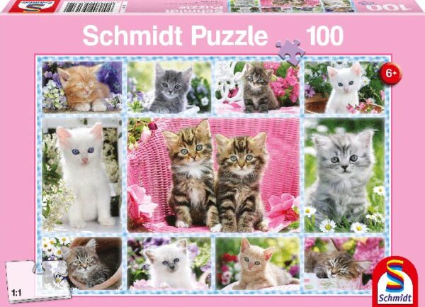 Kittens (100) - Schmidt  Legpuzzel - Afbeelding 1