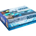 Memory Ocean - Remember Kaartspel