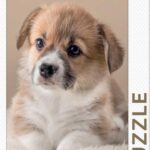 Puppy (1000) - Rebo  Legpuzzel
