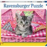 Schattig katje (100) - Ravensburger  Legpuzzel