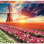 Tulpen landschap (1500) - Educa  Legpuzzel