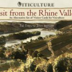 Viticulture: Visit from the Rhine Valley - StoneMaier Bordspel