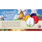 Windmill Valley: Tulips - Board & Dice