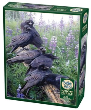 Raven Rendezvous (1000) - Cobble Hill  Legpuzzel
