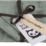 Monddoekjes Briljant Baby Hydrofiel Uni Stonegreen 3st