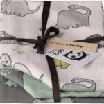 Hydrofiele luiers Briljant Baby Dino 3st