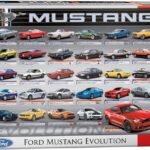 Ford Mustang Evolution (1000) - Eurographics  Legpuzzel