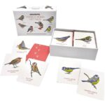 Vogels rond het huis Memospel -  Kaartspel|Educatief