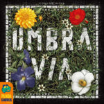 Umbra Via -  Bordspel