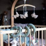 Activiteitenspiraal Little Dutch Little Farm