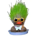 Figure Plants™ - Leer planten verzorgen -  Thuis Decoratie Planten Groen Gras Eend | Educatief Speelgoed
