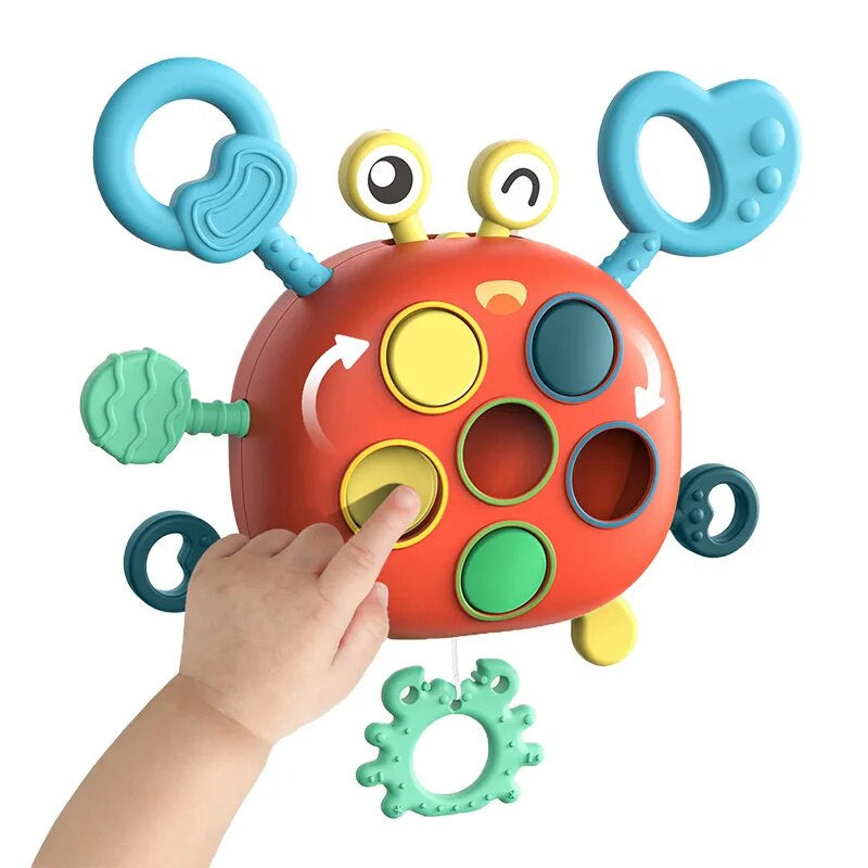 1_c87e000a-0a78-40bc-a107-c1cf519b3bf9 Sensory Crab™ - Motorische Magie - Sensorisch speelgoed | Educatief Speelgoed - Afbeelding 1