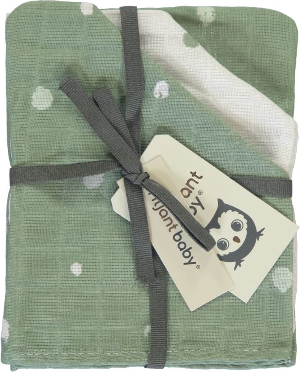 Washandjes Briljant Baby Hydrofiel Sunny Groen 3st Washandjes Briljant Baby Hydrofiel Sunny Groen 3st - Afbeelding 1