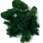 IJslandmos - 100 gram - groen