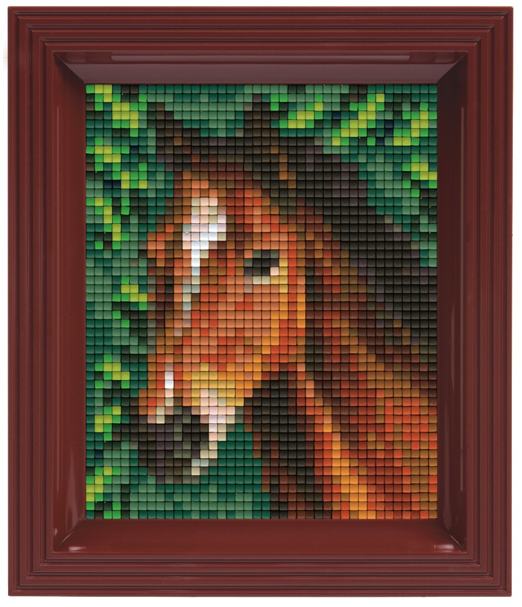 Pixelhobby set met lijst - paard