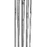 Panduro penselen set - olieverf - rond en plat