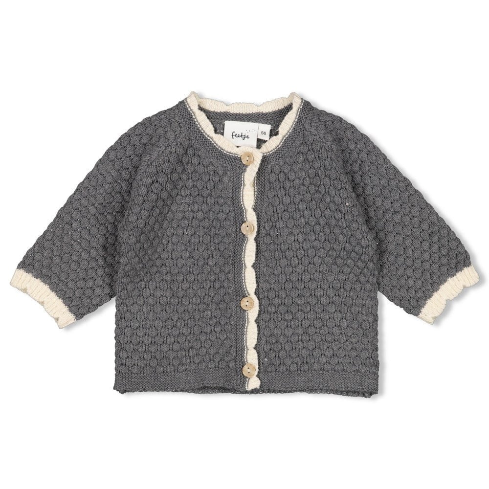 Vest Feetje Fields Of Green Gebreid Antraciet Melange Vest Feetje Fields Of Green Gebreid Antraciet Melange - Afbeelding 1
