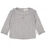 Shirt Longsleeve Ajour Feetje Fields of Green Grijs Melange