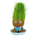 Figure Plants™ - Leer planten verzorgen -  Thuis Decoratie Planten Groen Gras Vlinder | Educatief Speelgoed