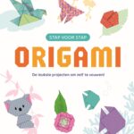 Boek - Stap Voor Stap Origami