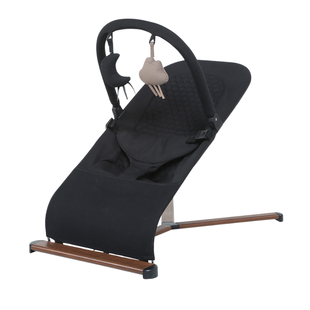 Wipstoel Bouncer Titanium Baby Solid Suzy Lush Black Wipstoel Bouncer Titanium Baby Solid Suzy Lush Black - Afbeelding 1