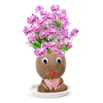 Figure Plants™ - Leer planten verzorgen -  Thuis Decoratie Planten Roze Bloem Meisje | Educatief Speelgoed