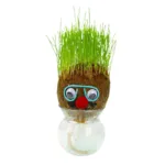 Figure Plants™ - Leer planten verzorgen -  Thuis Decoratie Planten Groen Gras Bril | Educatief Speelgoed